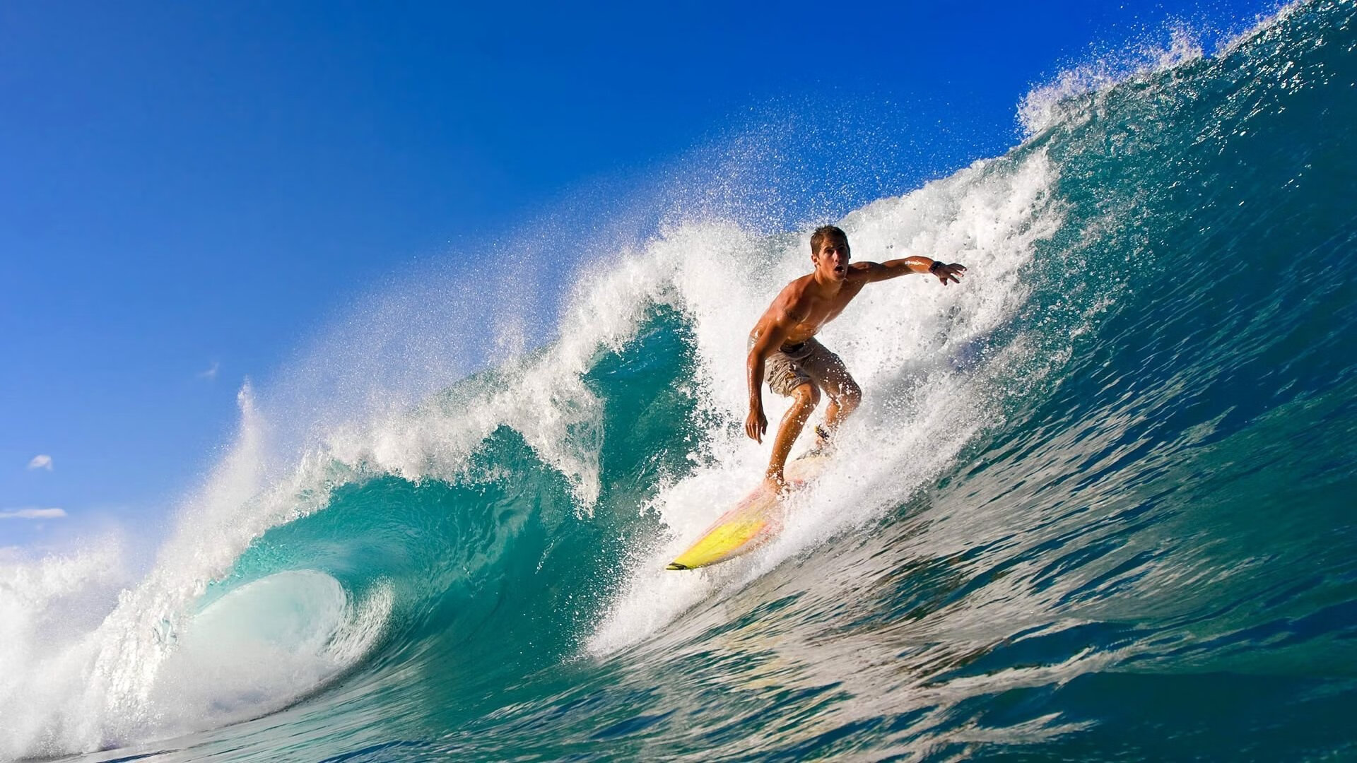 华体会登录-“最炫特效，视觉盛宴带你领略未来！”